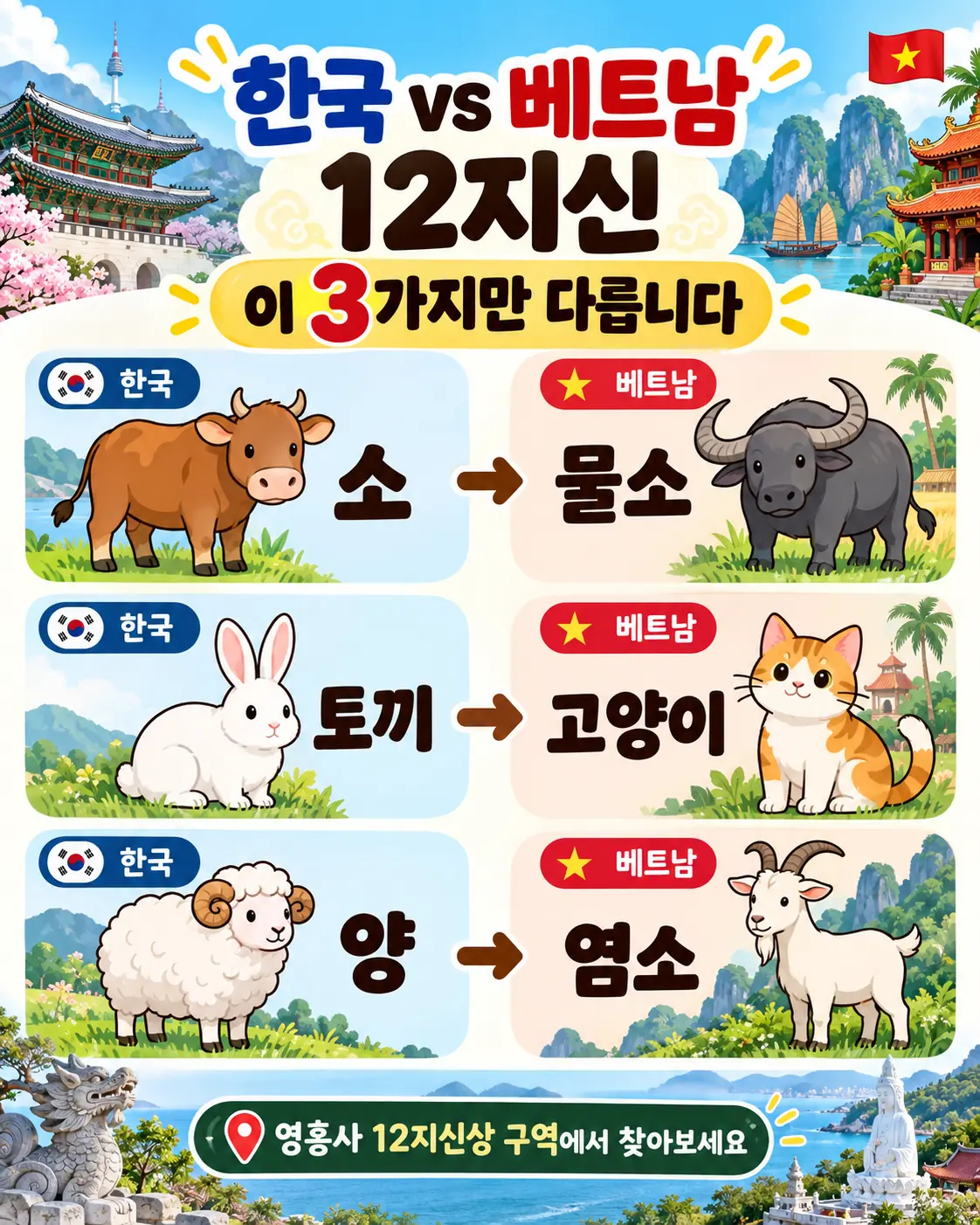 한국과 베트남 12지신 차이 소와 물소 토끼와 고양이 양과 염소 비교